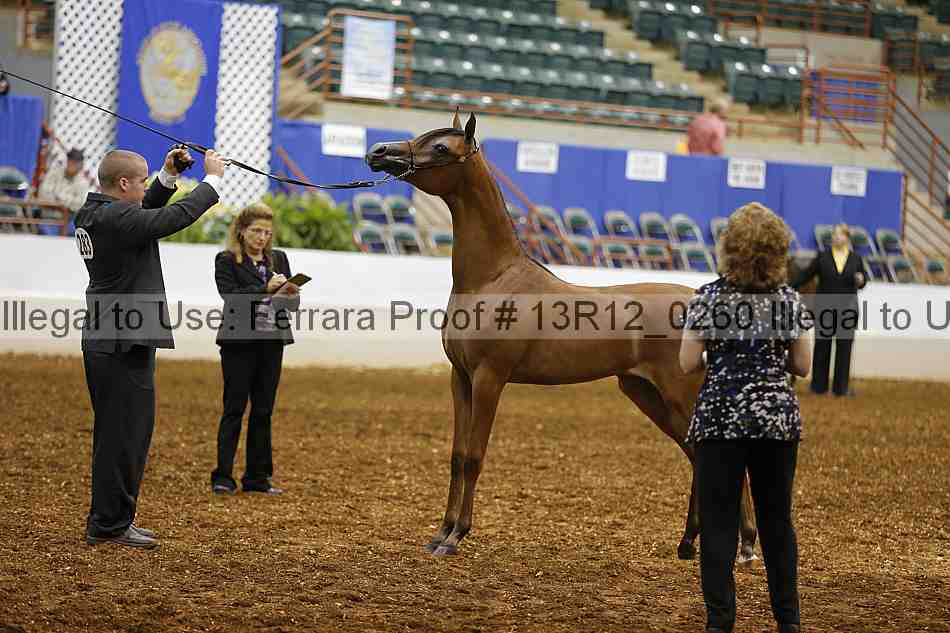 Proof 13r12_0260