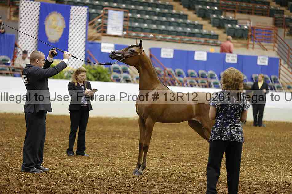 Proof 13r12_0261