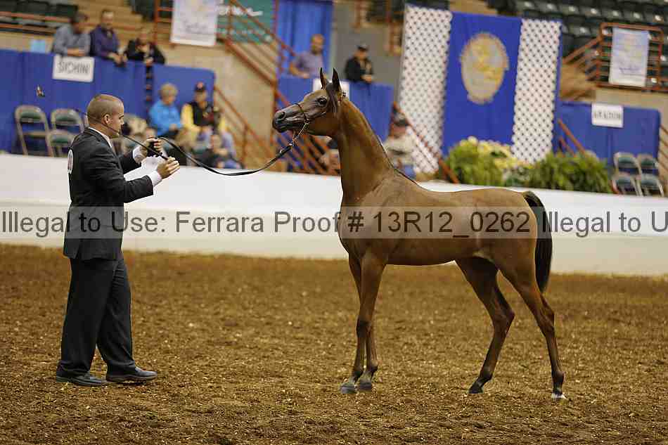 Proof 13r12_0262