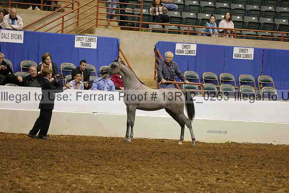 Proof 13r12_0263