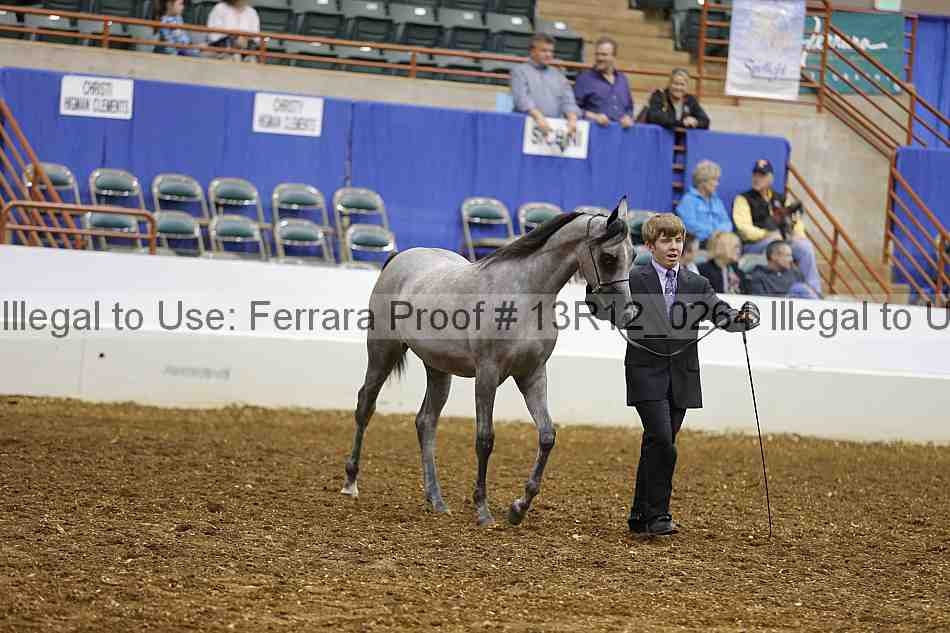 Proof 13r12_0264