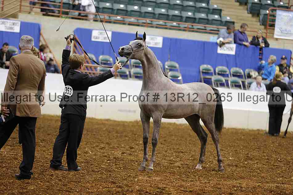 Proof 13r12_0265