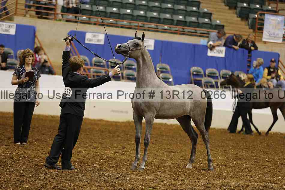 Proof 13r12_0266