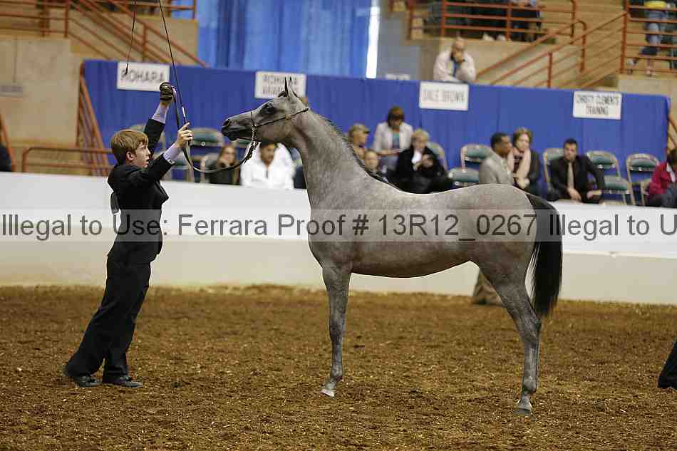 Proof 13r12_0267