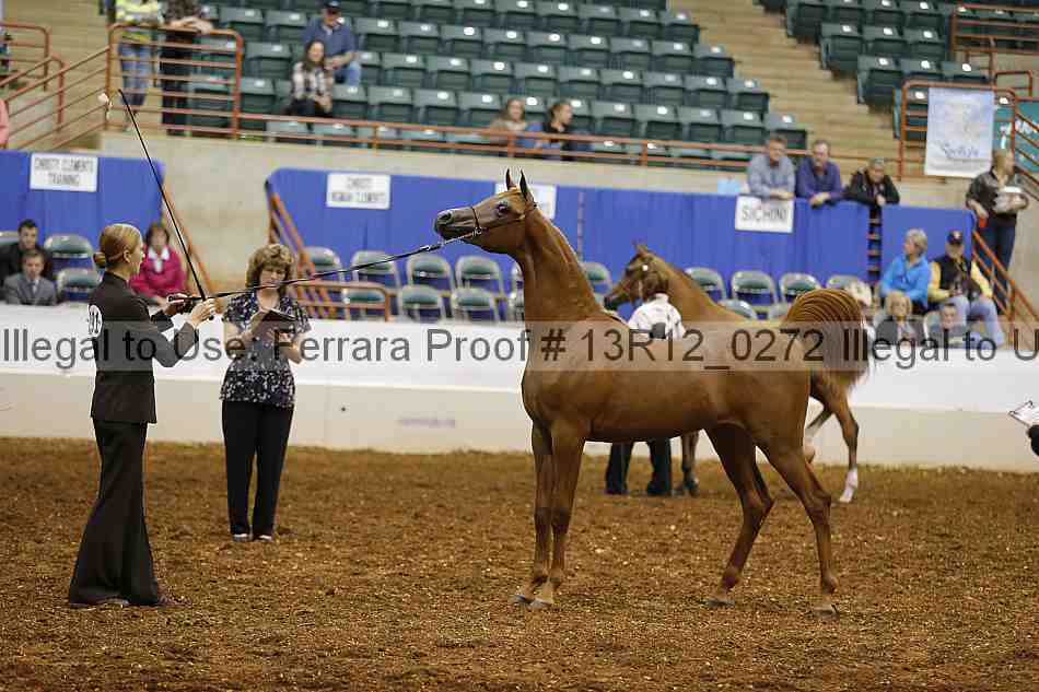 Proof 13r12_0272