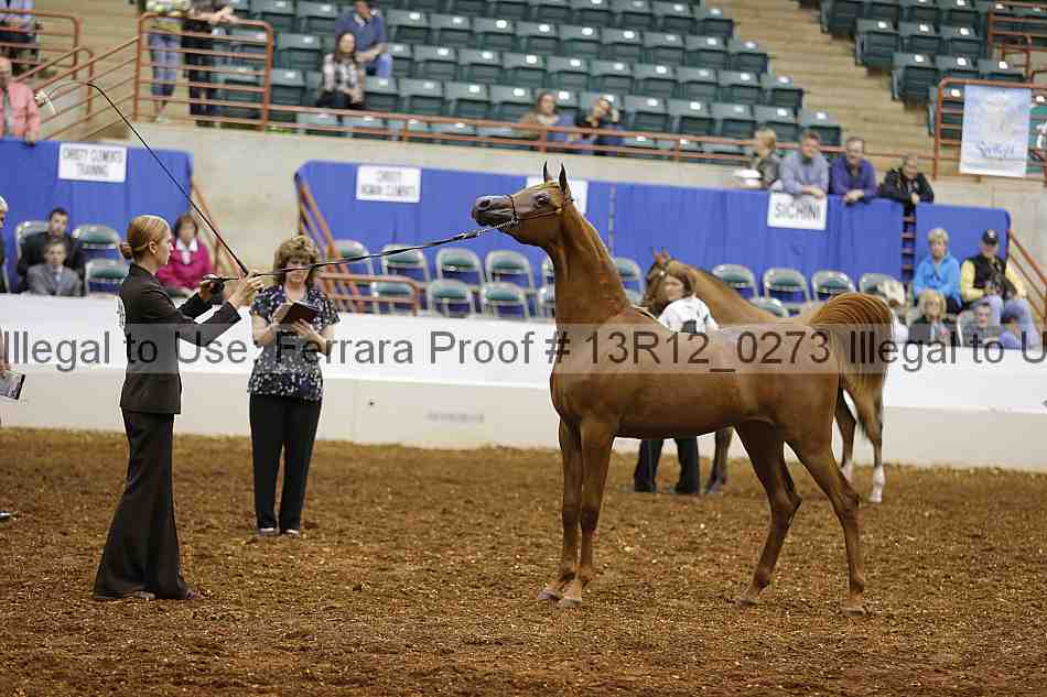 Proof 13r12_0273
