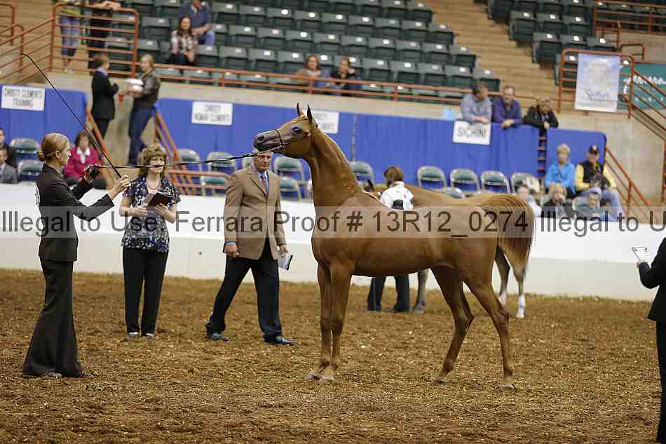 Proof 13r12_0274
