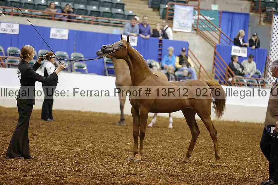 Proof 13r12_0276