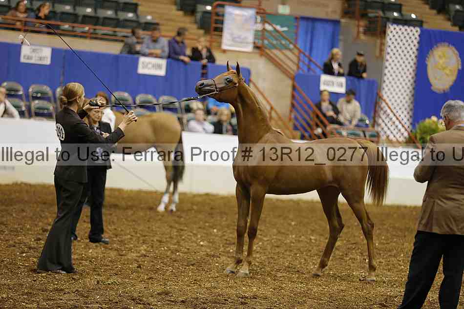 Proof 13r12_0277