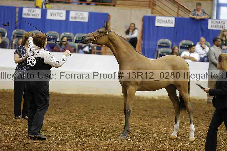Proof 13r12_0280