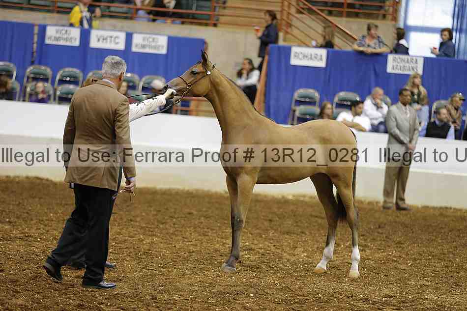 Proof 13r12_0281