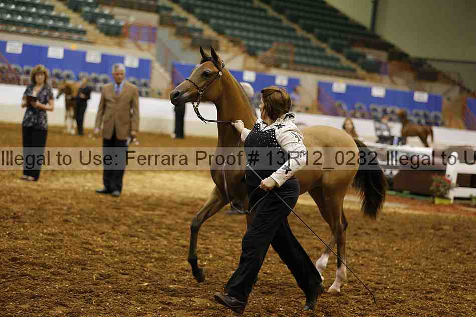 Proof 13r12_0282