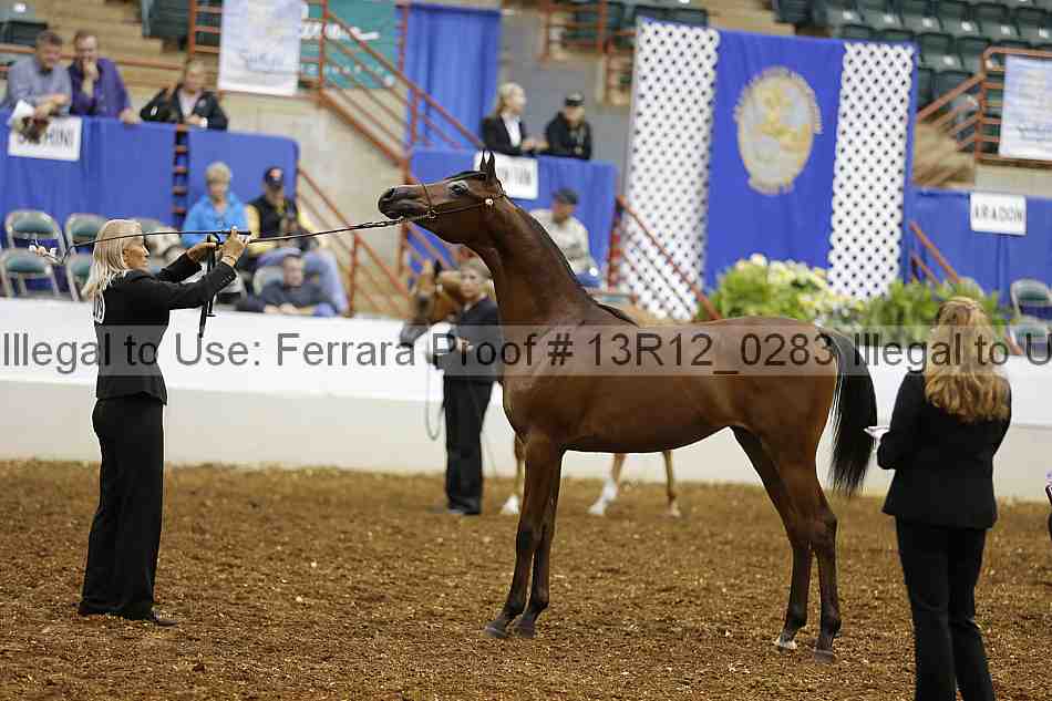 Proof 13r12_0283