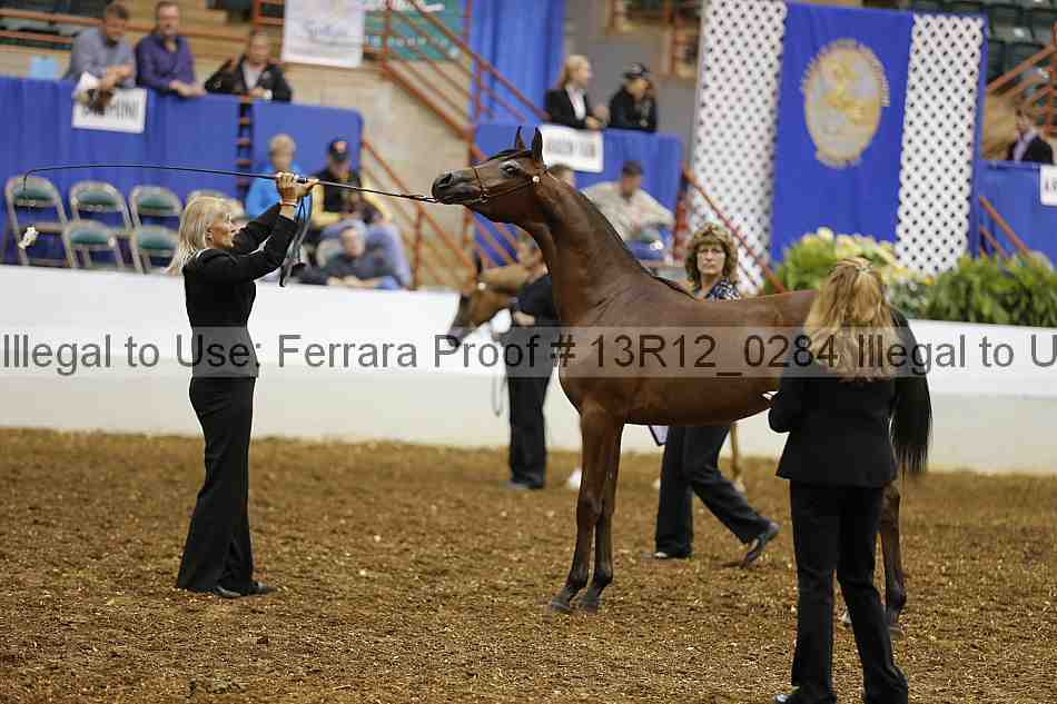 Proof 13r12_0284