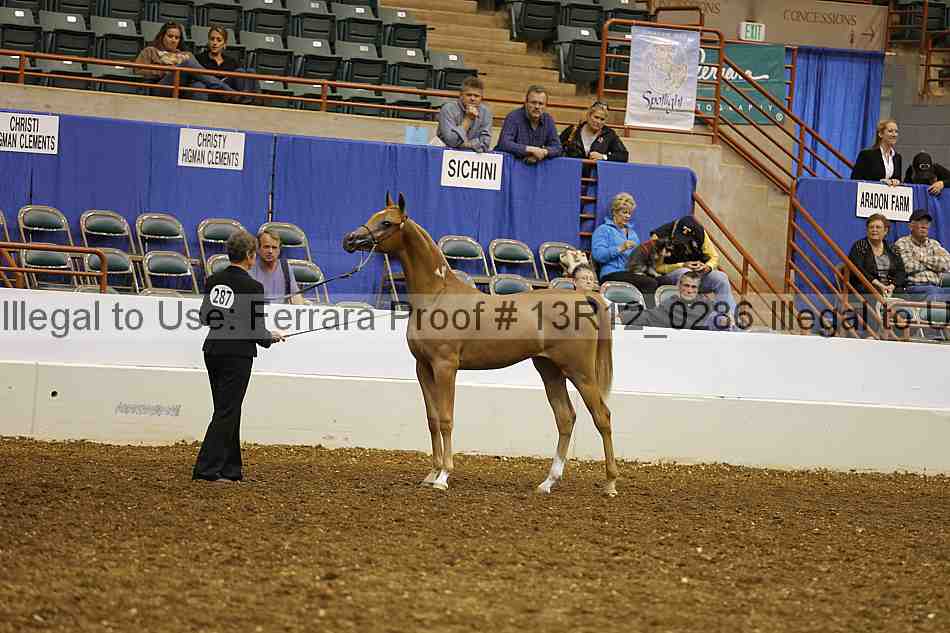 Proof 13r12_0286