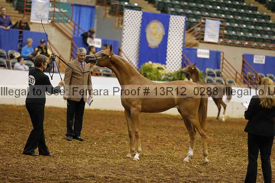 Proof 13r12_0288