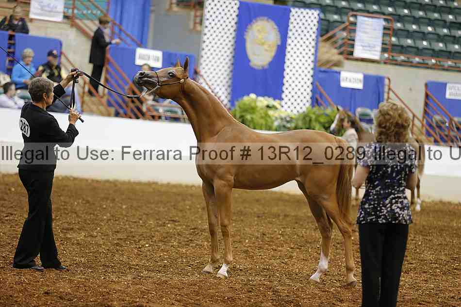Proof 13r12_0289