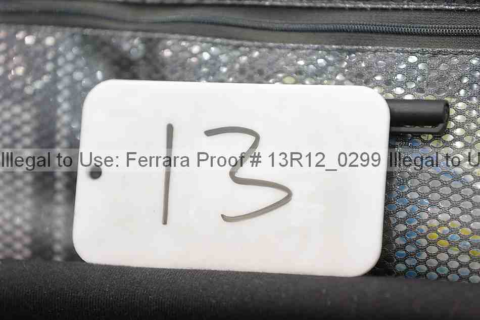 Proof 13r12_0299