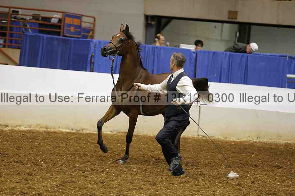 Proof 13r12_0300