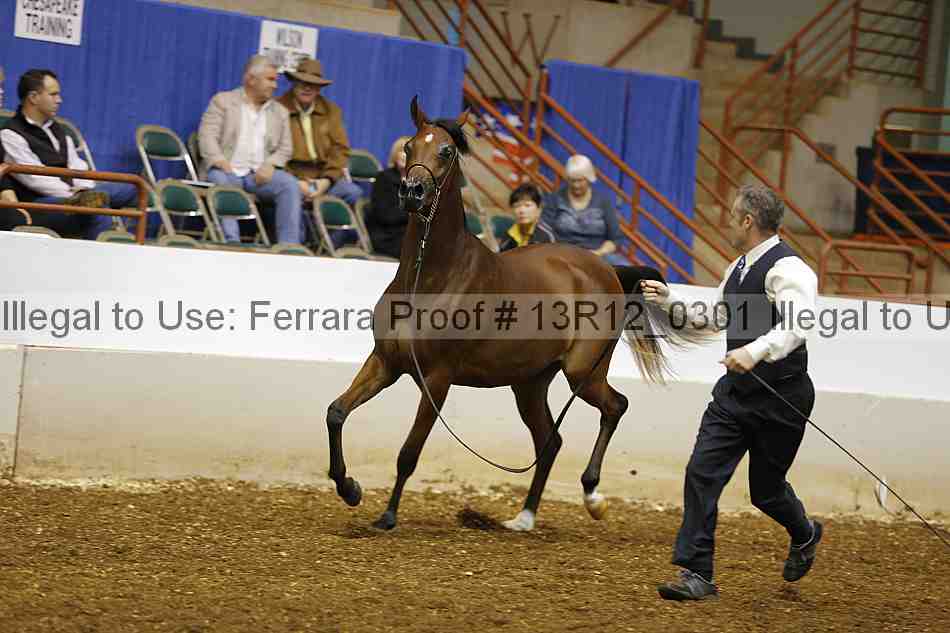 Proof 13r12_0301