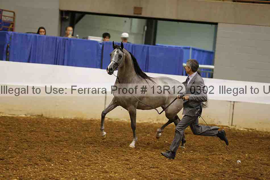 Proof 13r12_0302