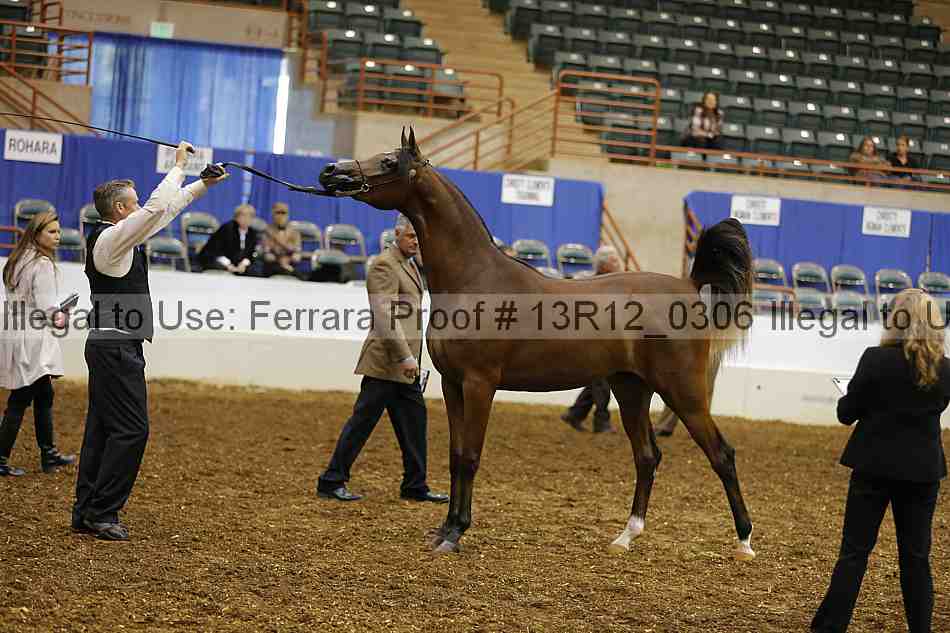 Proof 13r12_0306