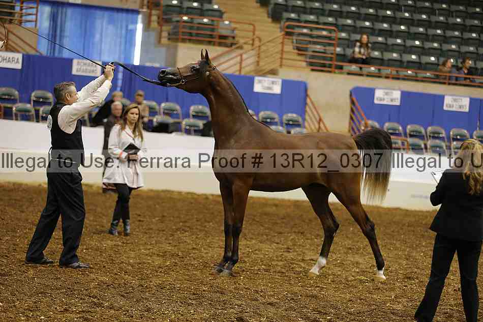 Proof 13r12_0307