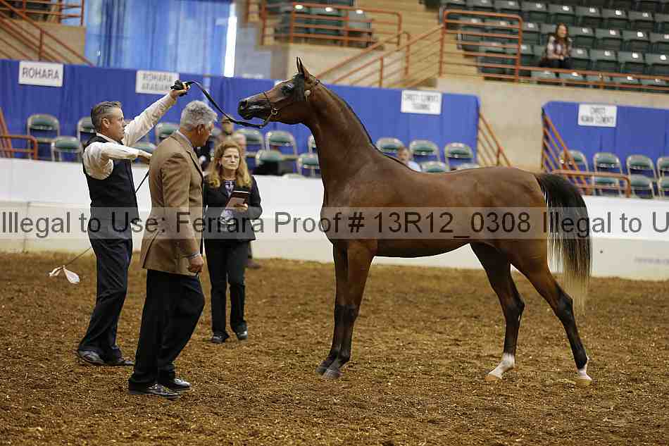 Proof 13r12_0308