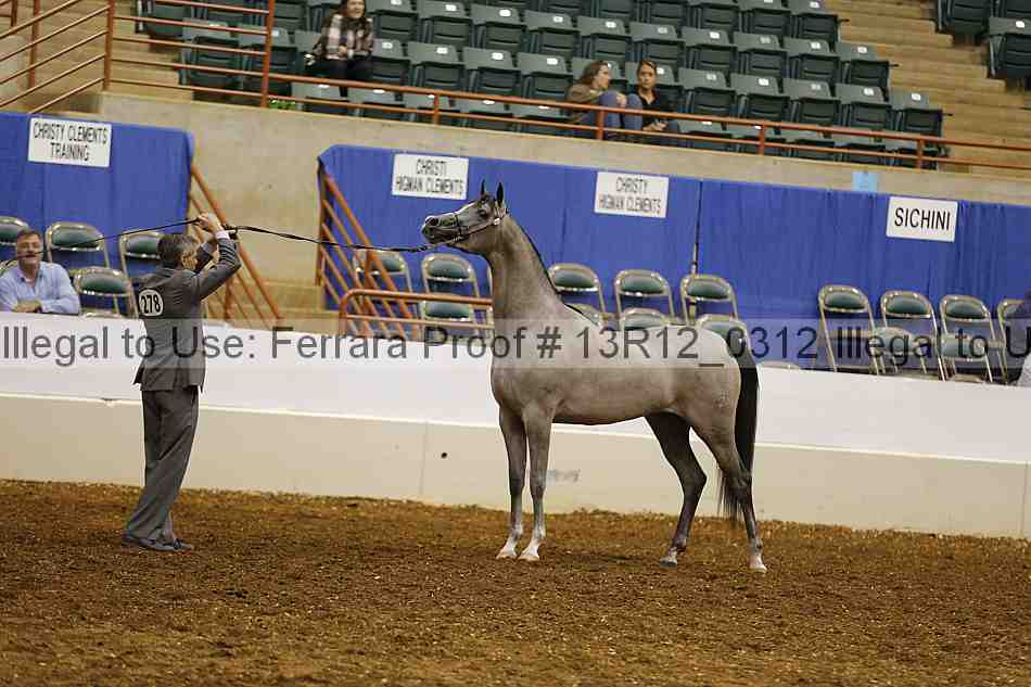 Proof 13r12_0312