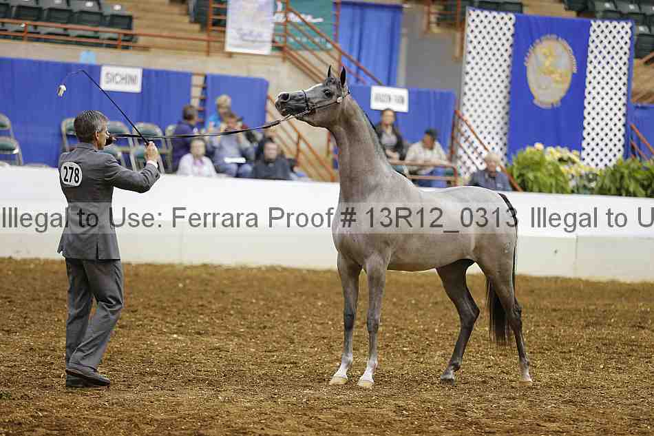 Proof 13r12_0313