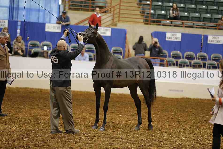 Proof 13r12_0318