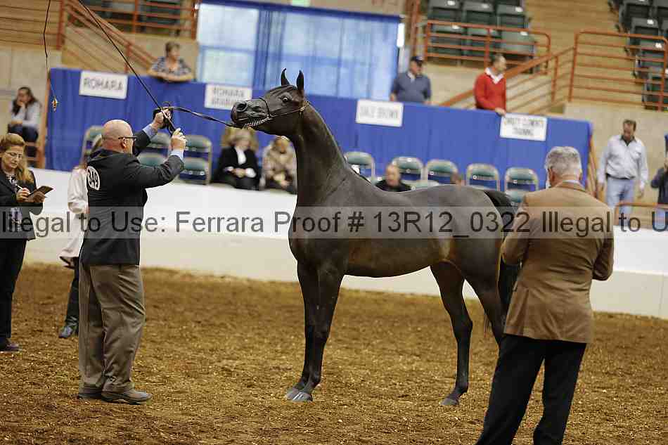 Proof 13r12_0322