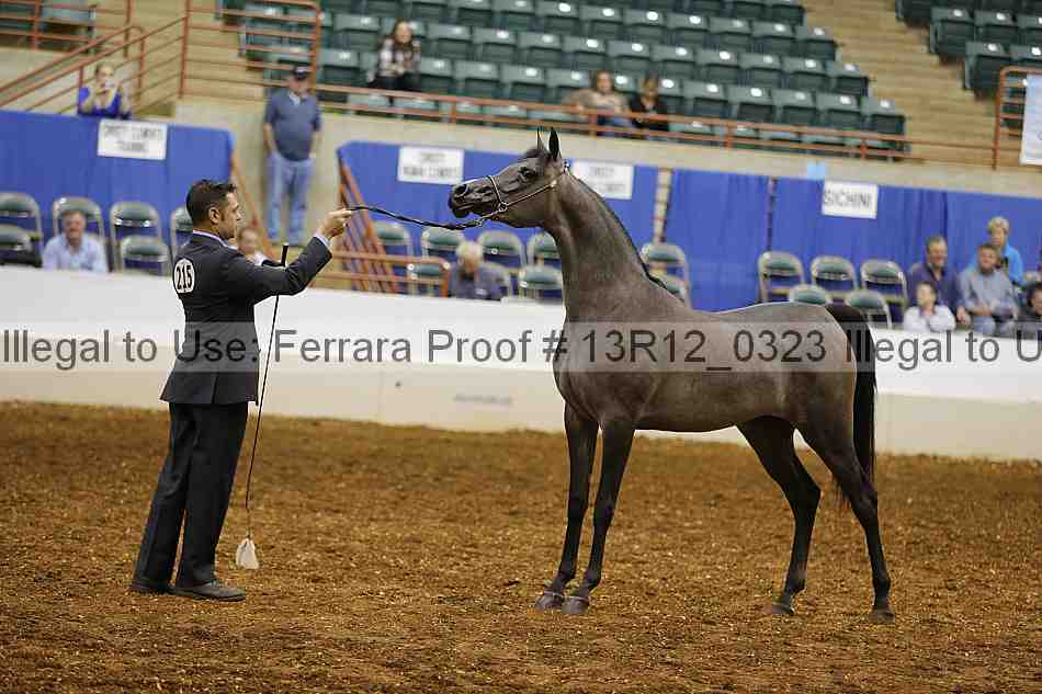 Proof 13r12_0323