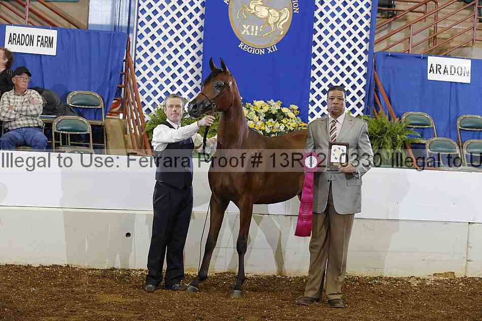Proof 13r12_0330