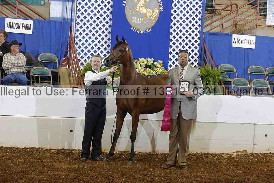 Proof 13r12_0331