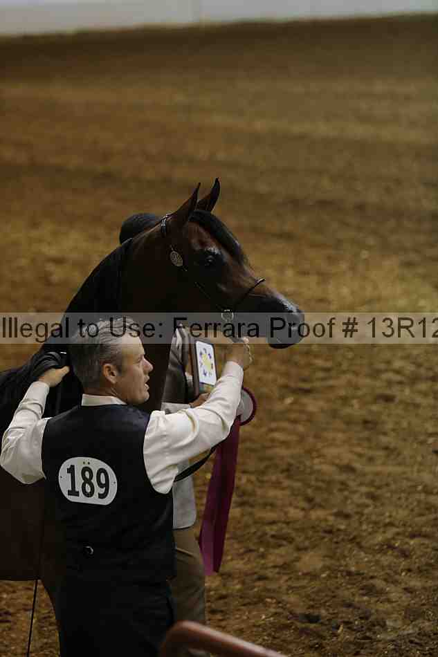 Proof 13r12_0332