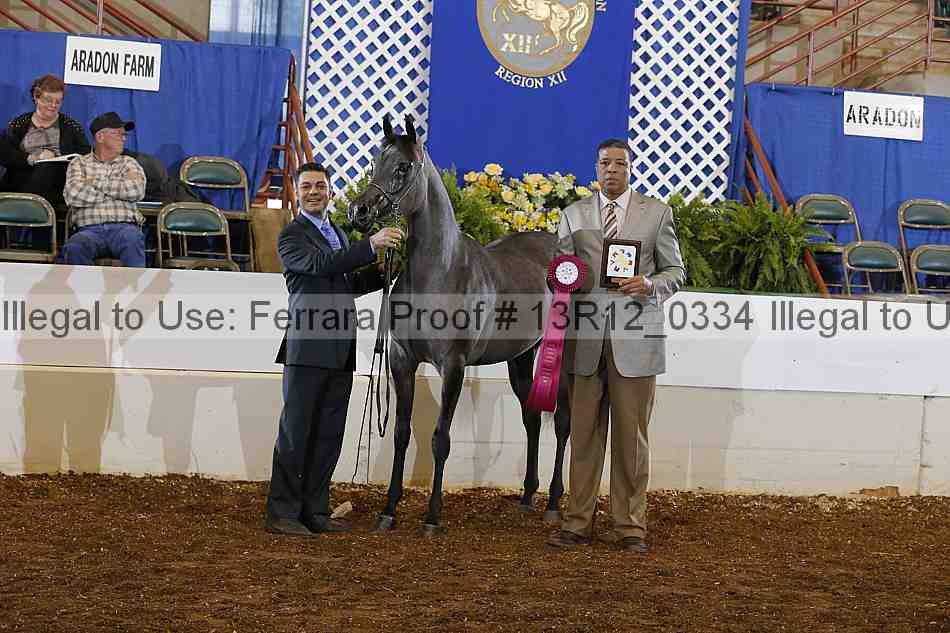 Proof 13r12_0334