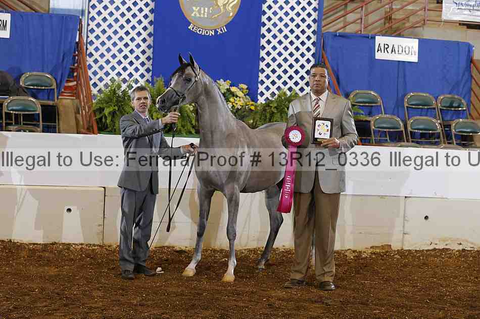 Proof 13r12_0336