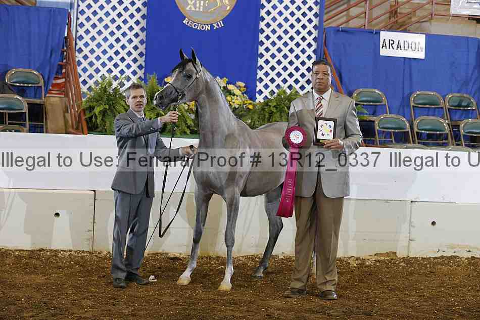 Proof 13r12_0337