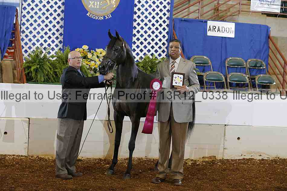 Proof 13r12_0338