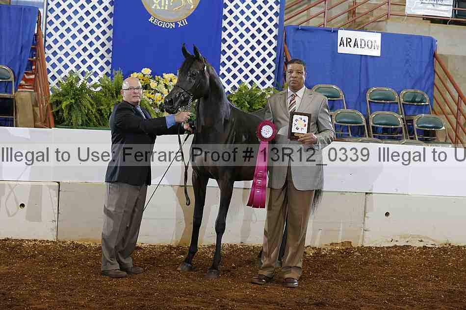 Proof 13r12_0339