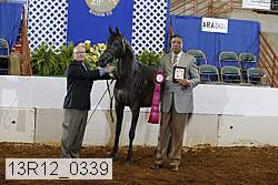 13r12_0339 proof