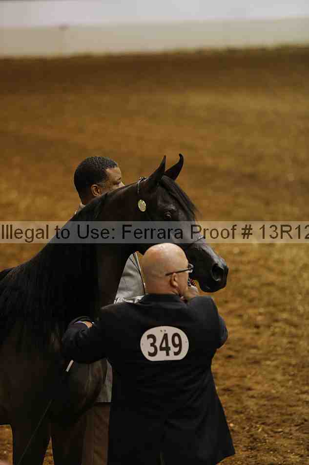Proof 13r12_0340