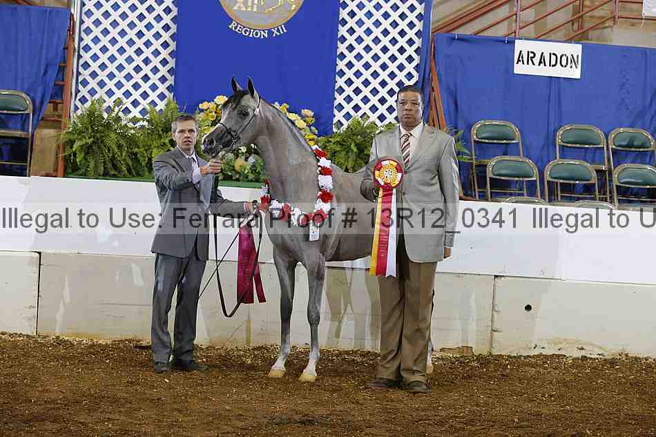 Proof 13r12_0341