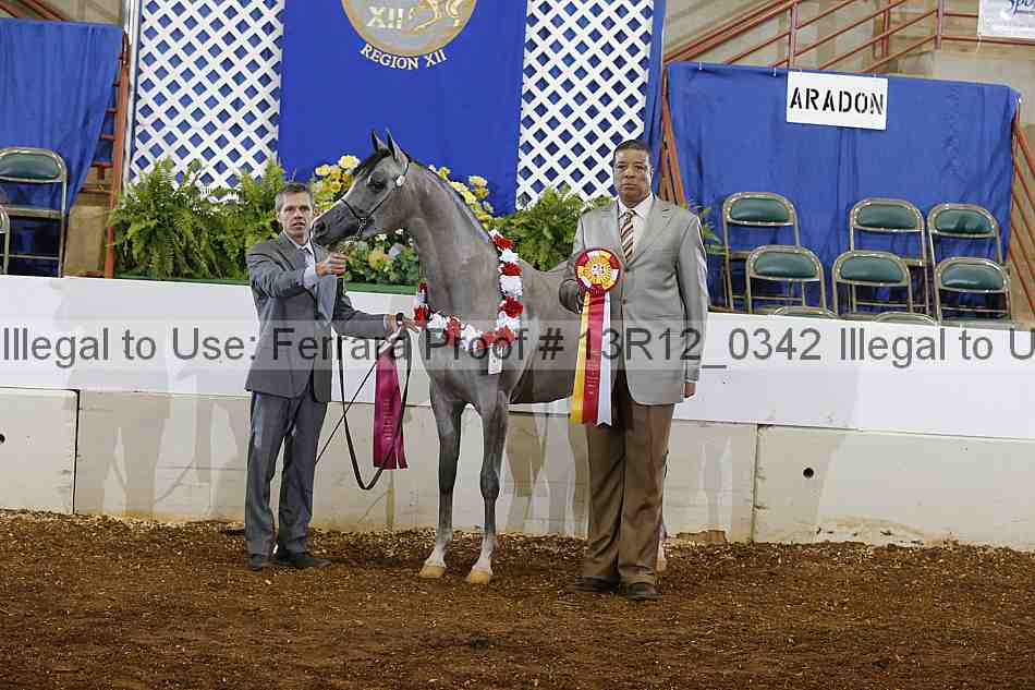 Proof 13r12_0342