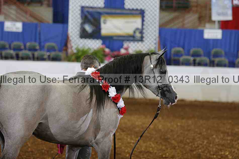 Proof 13r12_0343