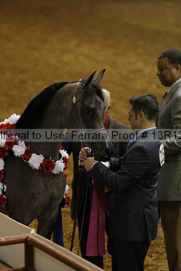 Proof 13r12_0345