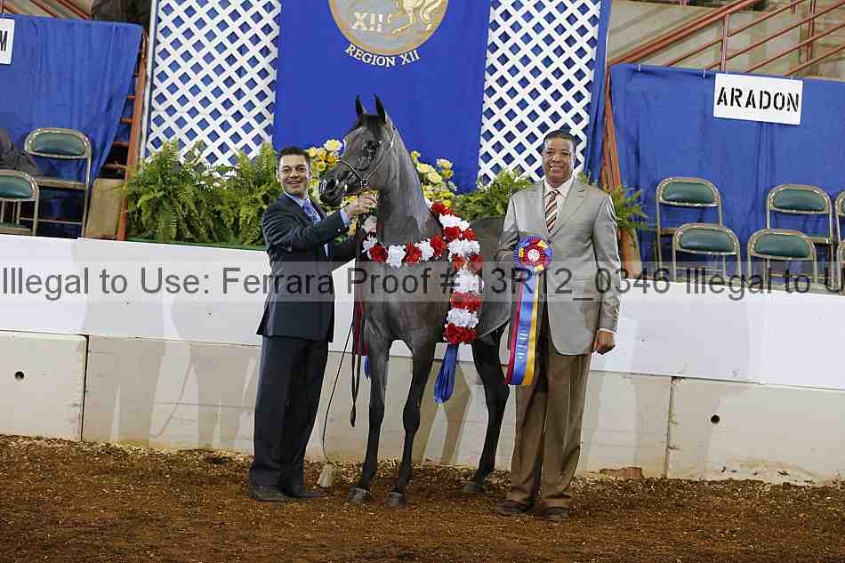 Proof 13r12_0346