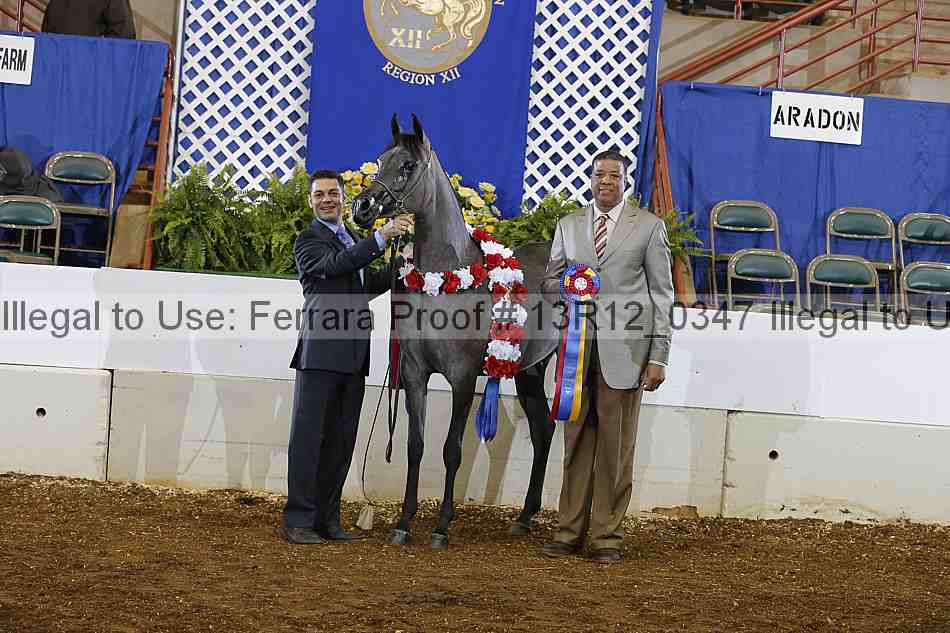 Proof 13r12_0347