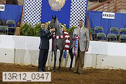 13r12_0347 proof